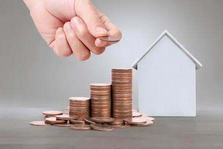 生猪期货一手交易价格揭秘